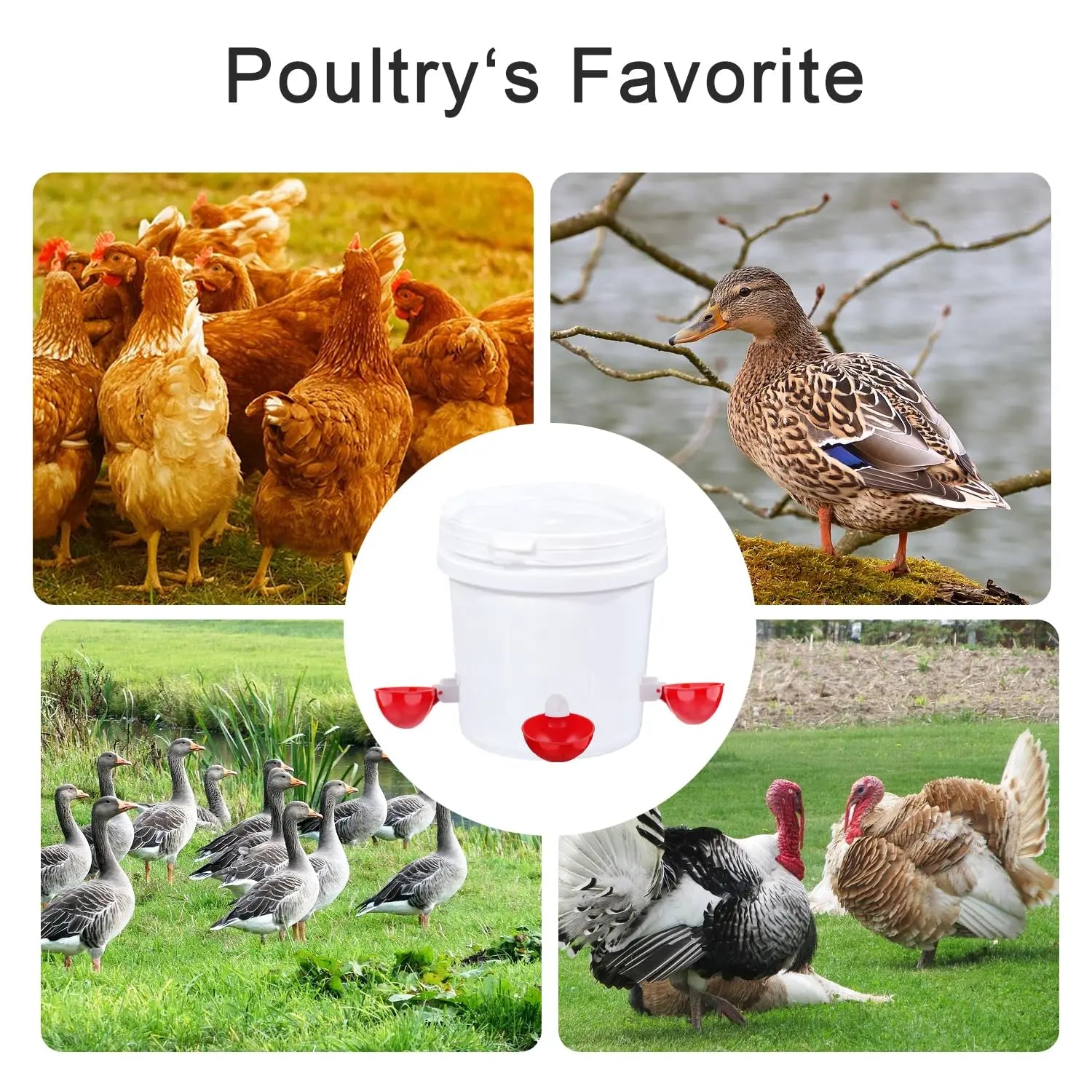 Chicken Waterer Cups, 6 Pack Red Automatics Chicken Waterer, Professional Poultry Cups Suitable for Chicks, Duck, Goose, Turkey and Bunny Various Poultry, Compatible with Various Containers