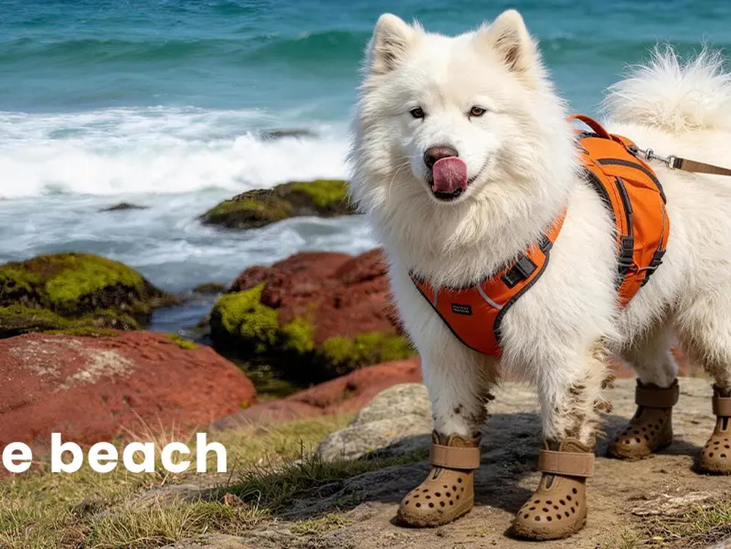 Dog Shoes for Hot Pavement Comfortable Paw Protection Adjustable Strap Non-Slip Easy-Clean Outdoor Sports Boots for Summer Rain